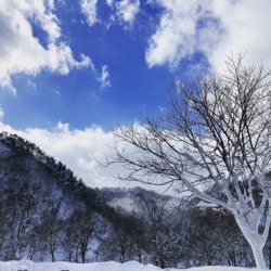 雪景色