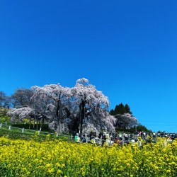 山形練習会に行ってきまーす