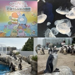 水族館行ってみました
