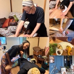 タイオイル個人レッスン