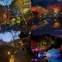 秋保ライトアップ