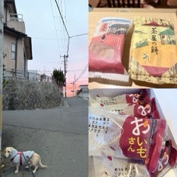 毎日寒いですね