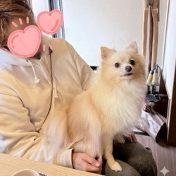 昨日のとーみ屋